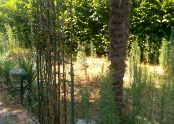 giardino - Porzione di casa Frazione Croce, Rovescala - foto 17