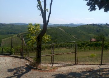 giardino - Porzione di casa Frazione Croce, Rovescala - foto 18