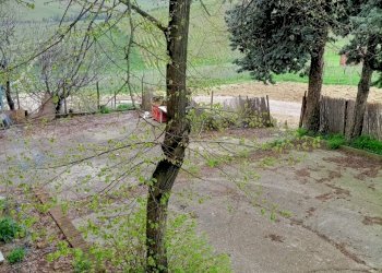 giardino - Porzione di casa Frazione Croce, Rovescala - foto 30