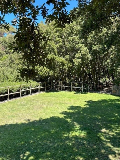 PHOTO-2024-06-26-15-36-33.jpg - Portion of a house Cala Piccola snc, Monte Argentario - photo 2