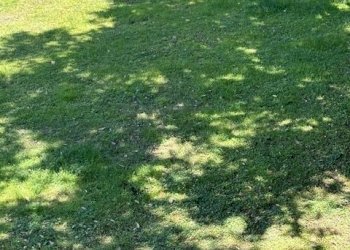 PHOTO-2024-06-26-15-36-33(1).jpg - Porzione di casa Cala Piccola snc, Monte Argentario - foto 25