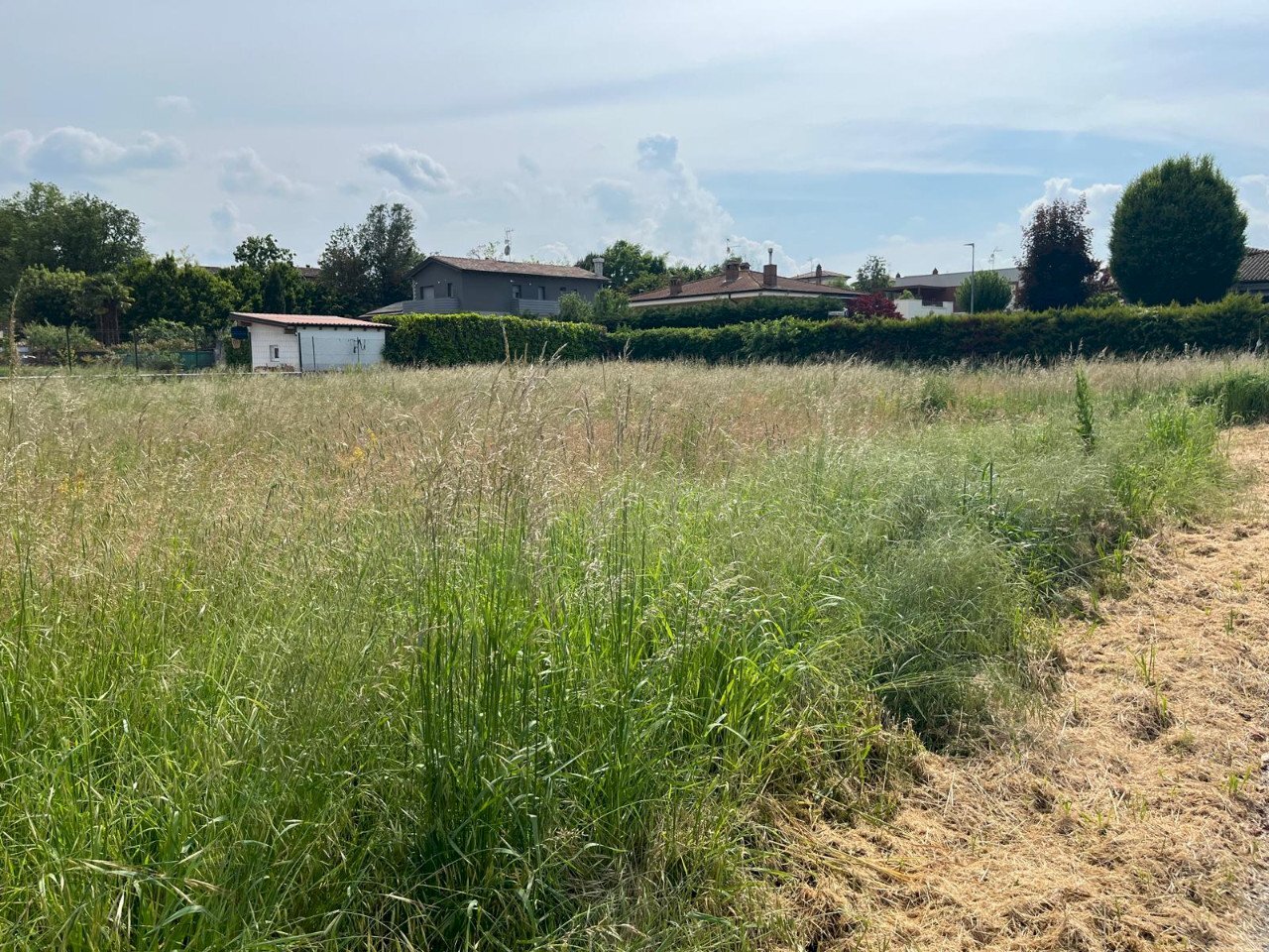 Terreno edificabile Gazzola - foto 1