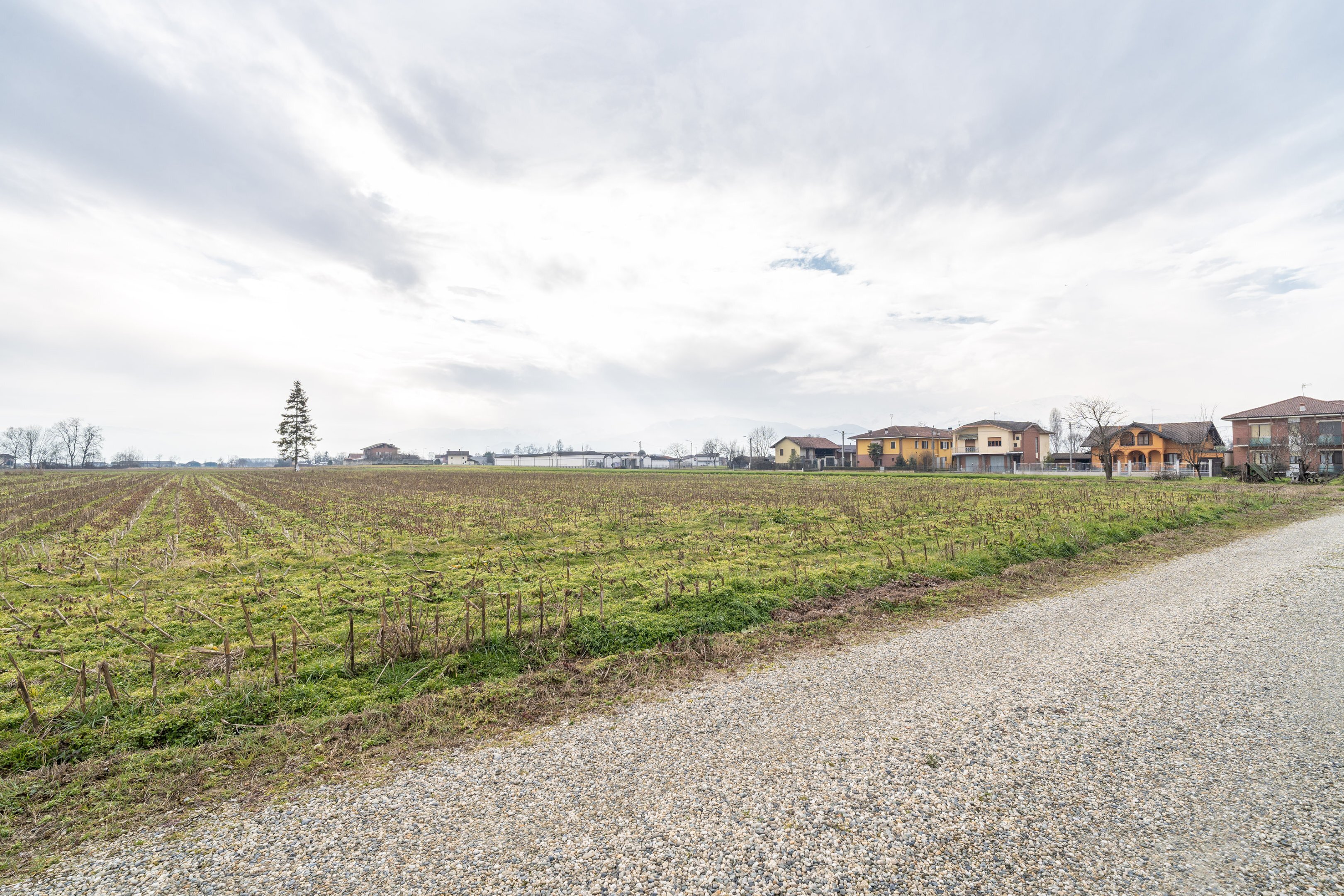 Agricultural land Via Salesea, SNC, Cardè - photo 1