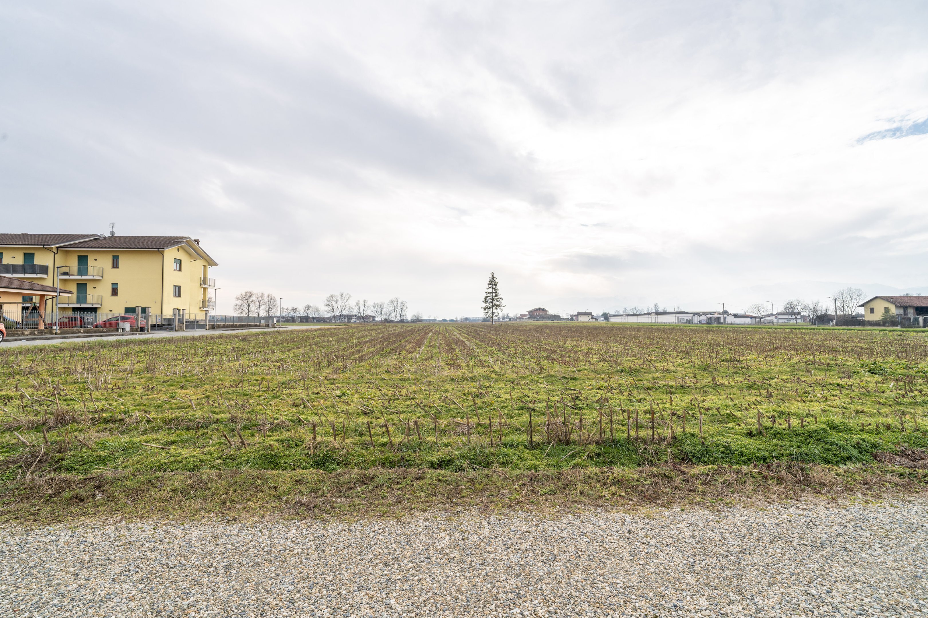 Agricultural land Via Salesea, SNC, Cardè - photo 3