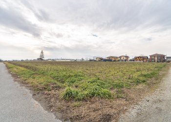 Terreno agricolo Via Salesea, SNC, Cardè - foto 2