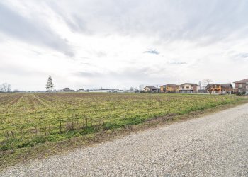 Terreno agricolo Via Salesea, SNC, Cardè - foto 1