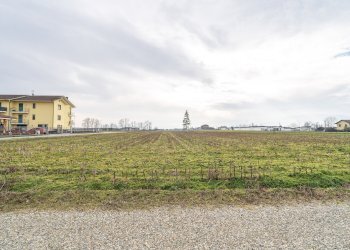 Terreno agricolo Via Salesea, SNC, Cardè - foto 3