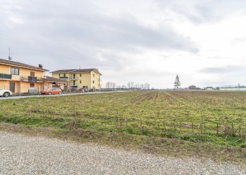 Terreno agricolo Via Salesea, SNC, Cardè - foto 4