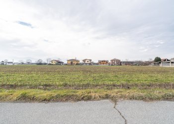 Terreno agricolo Via Salesea, SNC, Cardè - foto 6