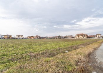Terreno agricolo Via Salesea, SNC, Cardè - foto 7