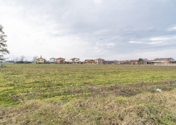 Terreno agricolo Via Salesea, SNC, Cardè - foto 8