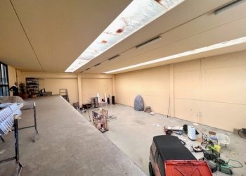 Capannone Parma - foto 5