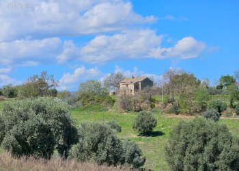 Rustico CONTRADA SANT'EGIDIO, Cupra Marittima - foto 8