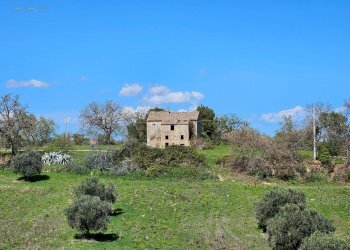 Rustico CONTRADA SANT'EGIDIO, Cupra Marittima - foto 9