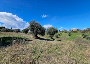 Rustico CONTRADA SANT'EGIDIO, Cupra Marittima - foto 10