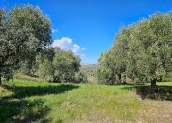 Rustico CONTRADA SANT'EGIDIO, Cupra Marittima - foto 14