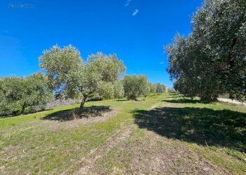 Rustico CONTRADA SANT'EGIDIO, Cupra Marittima - foto 15