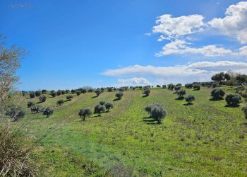 Rustico CONTRADA SANT'EGIDIO, Cupra Marittima - foto 17