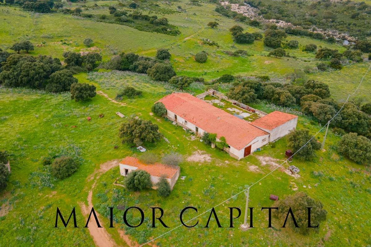 Terreno agricolo Loc. Osseddu, Berchidda - foto 3