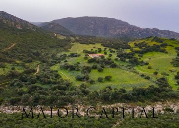 Terreno agricolo Loc. Osseddu, Berchidda - foto 1