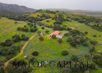 Terreno agricolo Loc. Osseddu, Berchidda - foto 2