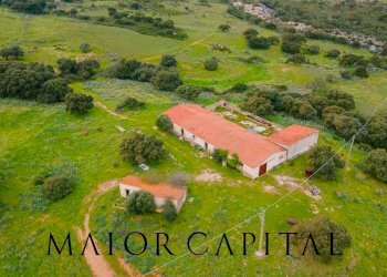 Terreno agricolo Loc. Osseddu, Berchidda - foto 3