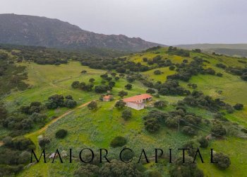 Terreno agricolo Loc. Osseddu, Berchidda - foto 6