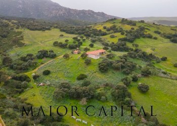 Terreno agricolo Loc. Osseddu, Berchidda - foto 7