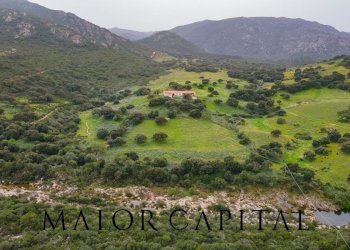 Terreno agricolo Loc. Osseddu, Berchidda - foto 8