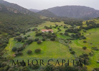 Terreno agricolo Loc. Osseddu, Berchidda - foto 9