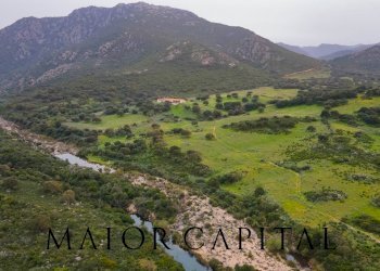 Terreno agricolo Loc. Osseddu, Berchidda - foto 11