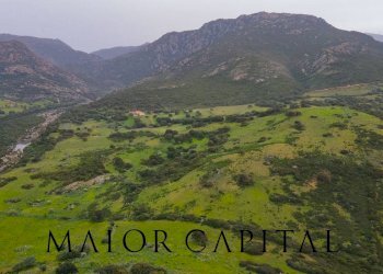 Terreno agricolo Loc. Osseddu, Berchidda - foto 13
