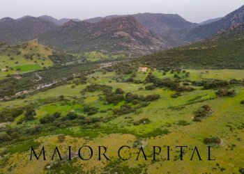 Terreno agricolo Loc. Osseddu, Berchidda - foto 15