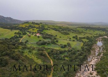 Terreno agricolo Loc. Osseddu, Berchidda - foto 16