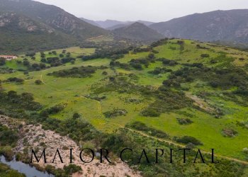 Terreno agricolo Loc. Osseddu, Berchidda - foto 18