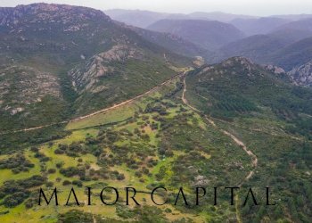 Terreno agricolo Loc. Osseddu, Berchidda - foto 19