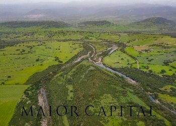 Terreno agricolo Loc. Osseddu, Berchidda - foto 20