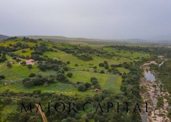 Terreno agricolo Loc. Osseddu, Berchidda - foto 21