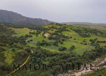 Terreno agricolo Loc. Osseddu, Berchidda - foto 22