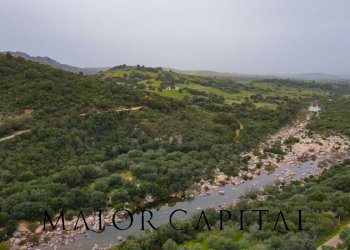Terreno agricolo Loc. Osseddu, Berchidda - foto 25