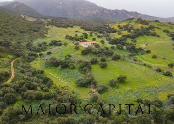 Terreno agricolo Loc. Osseddu, Berchidda - foto 27