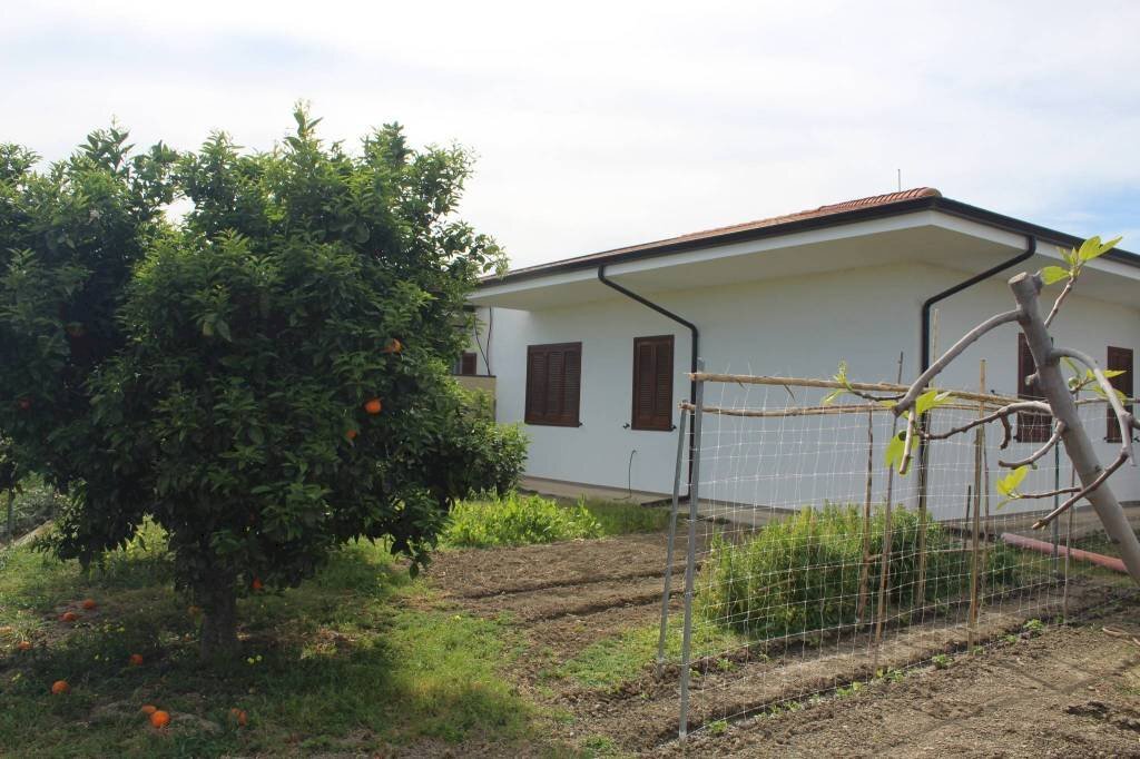 Terreno - Rustico contrada San Nicola, Rocca Imperiale - foto 2