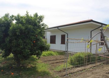 Terreno - Rustico contrada San Nicola, Rocca Imperiale - foto 2