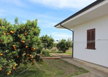 Giardino - Rustico contrada San Nicola, Rocca Imperiale - foto 9