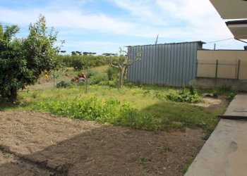 Terreno - Rustico contrada San Nicola, Rocca Imperiale - foto 13