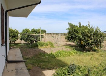 Giardino - Rustico contrada San Nicola, Rocca Imperiale - foto 14