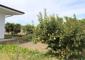 Giardino - Rustico contrada San Nicola, Rocca Imperiale - foto 17