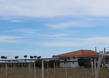 Terreno - Rustico contrada San Nicola, Rocca Imperiale - foto 18