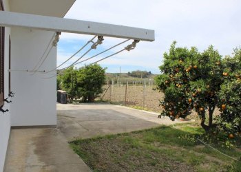 Giardino - Rustico contrada San Nicola, Rocca Imperiale - foto 19