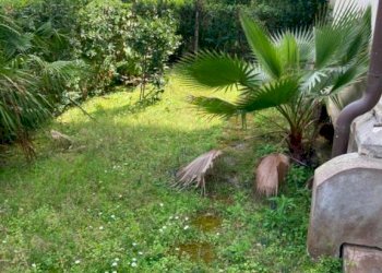 Giardino - Appartamento via Serchio, Massa - foto 15